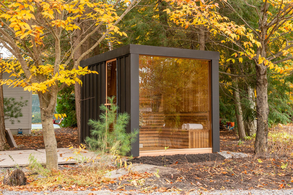 Neptune glass-front sauna with black steel siding among autumn maples