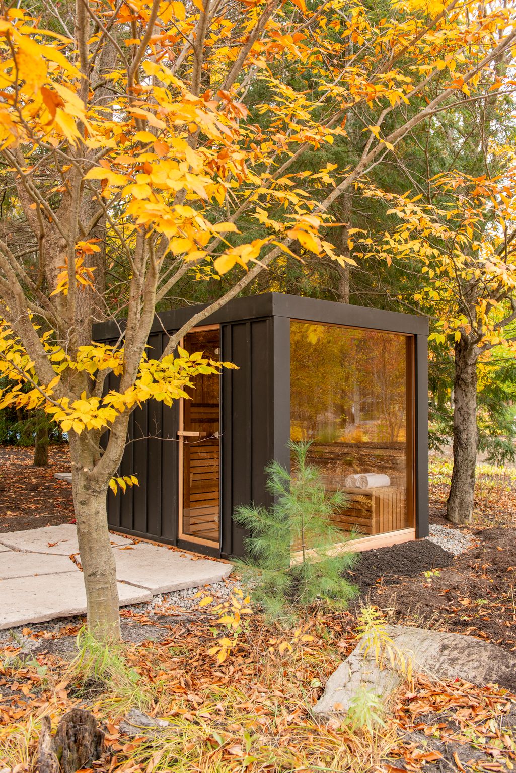 Neptune sauna full glass wall in a fall backyard