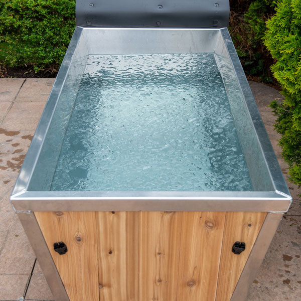 Polar Cold Plunge